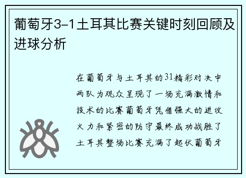 葡萄牙3-1土耳其比赛关键时刻回顾及进球分析