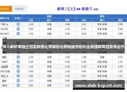 深入解析英格兰冠军联赛比赛规则与赛制细节助你全面理解英冠赛事运作