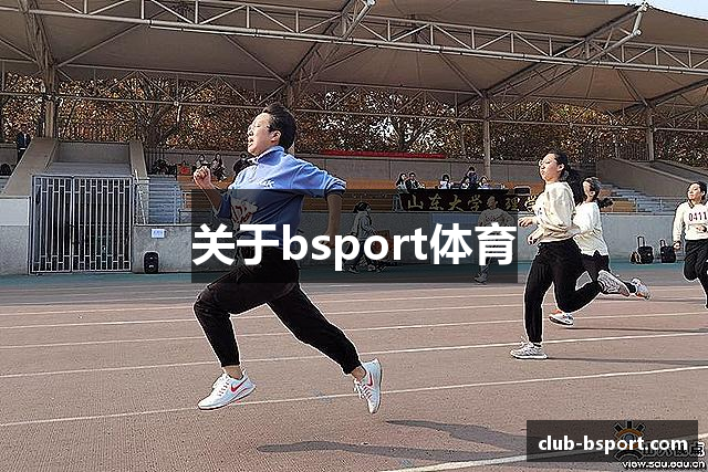 关于bsport体育